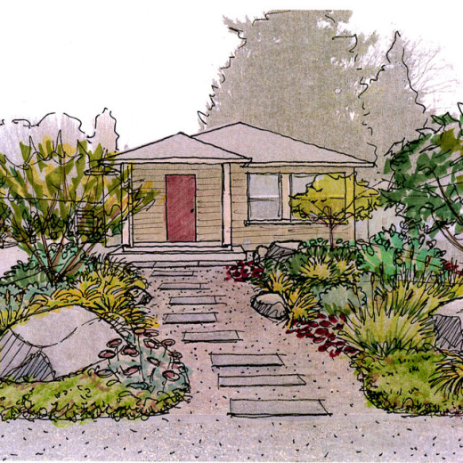 Sketch for the Design of the Front yard garden