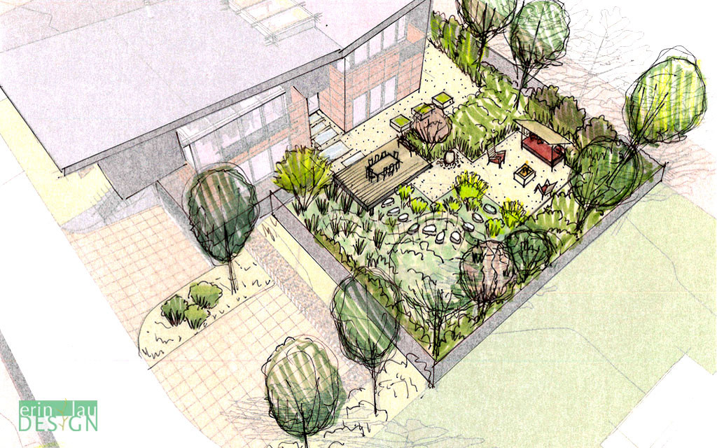 Bird's eye view of back yard with rain garden and seating areas sketch