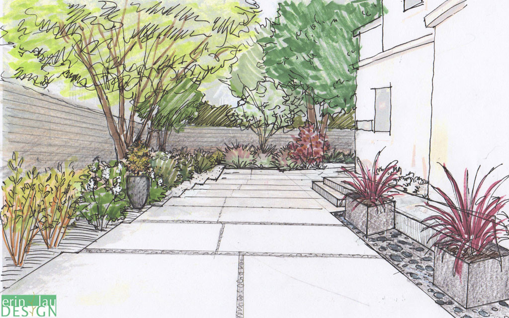 Driveway landscaping sketch