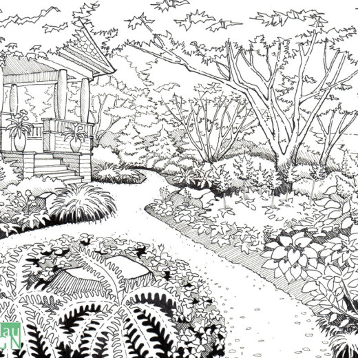 Refined garden drawing based on earlier sketch