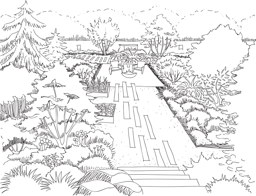 Coloring Book ready Drawing